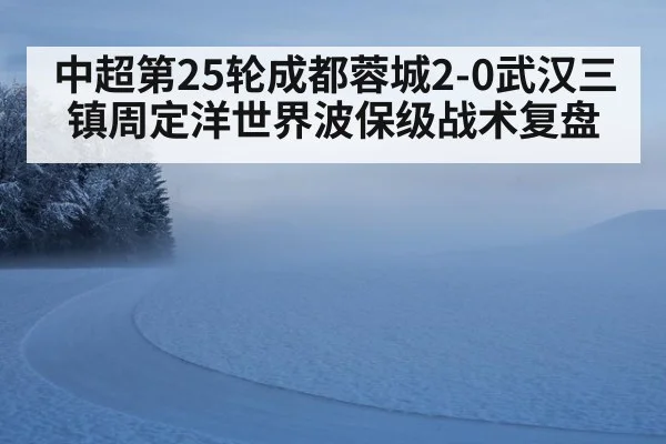 中超第25轮成都蓉城2-0武汉三镇周定洋世界波保级战术复盘